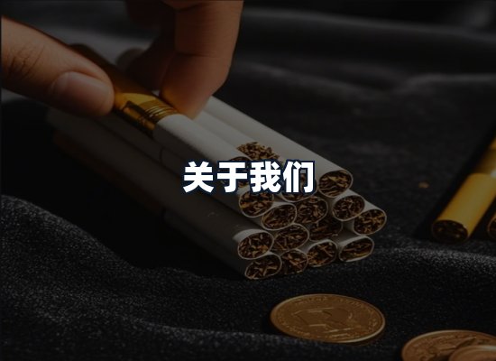 关于我们